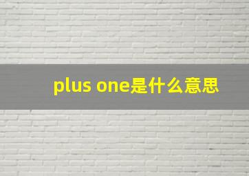 plus one是什么意思